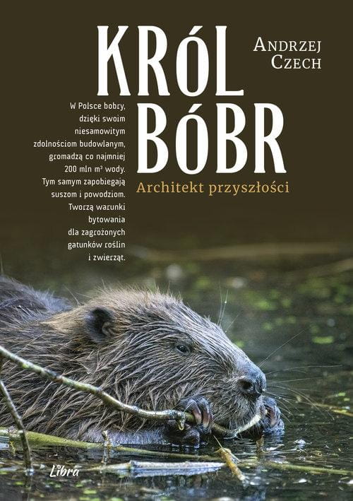 Król bóbr, Czech Andrzej