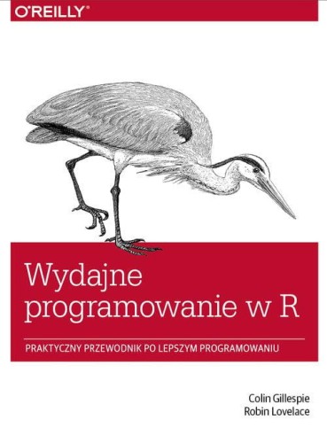 Wydajne programowanie w R