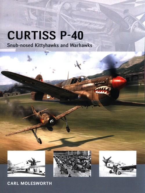 Curtiss P-40, Molesworth Carl