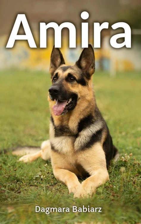 Amira, Babiarz Dagmara